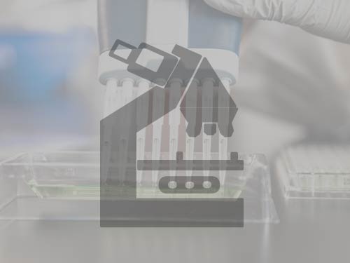 Périnatalité et transition à la parentalité en période de pandémie de COVID-19 – du social au moléculaire.