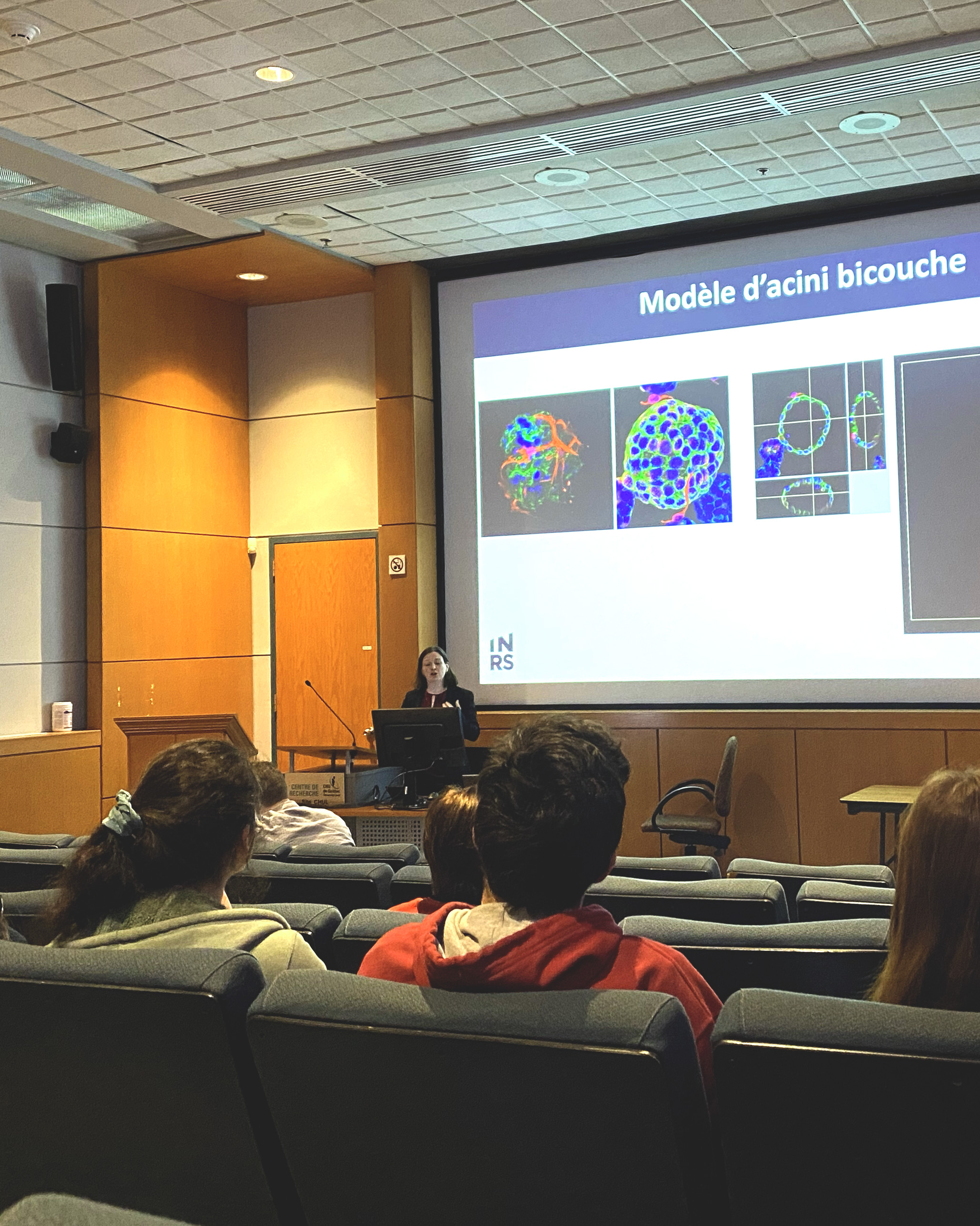 Mini-symposium on "Endocrine Disruptors" | CRDSI
